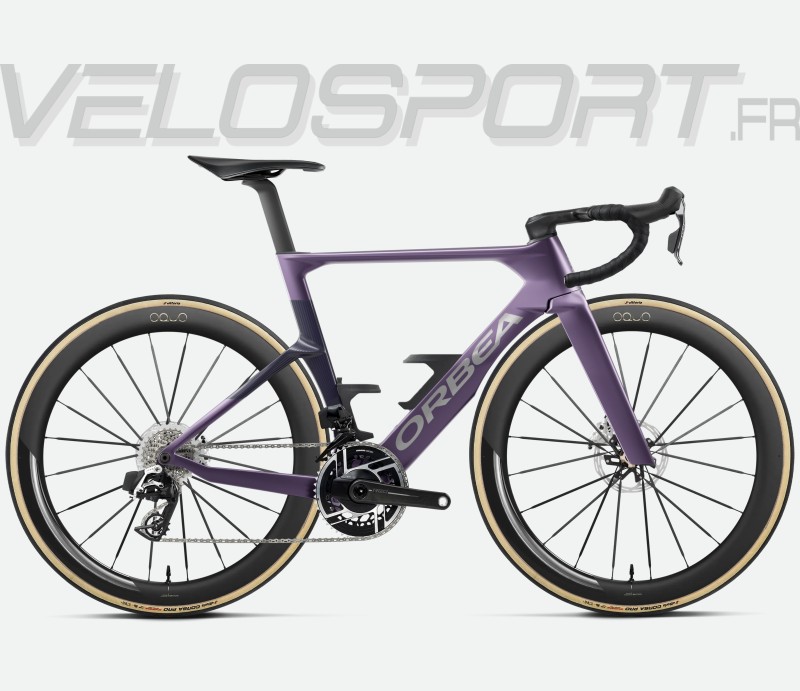 Plum - Purple