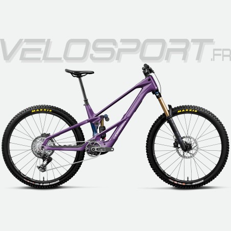 Plum - Carbon